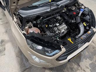 Ford EcoSport 1.0EcoBoost 92kW Clima ST-Line picture 25