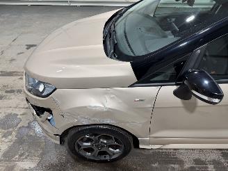 Ford EcoSport 1.0EcoBoost 92kW Clima ST-Line picture 17