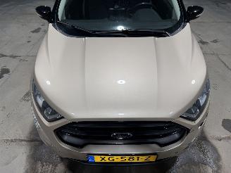 Ford EcoSport 1.0EcoBoost 92kW Clima ST-Line picture 20