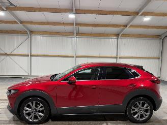 Mazda CX-30 2.0 E-SkyActiv-X 132kW M Hybrid Luxury picture 8