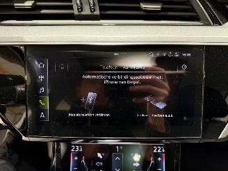 Audi E-tron 71kWh 230kW Quattro 50 Launch Edition Plus picture 30