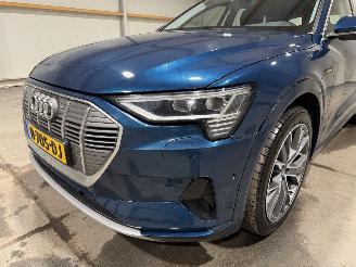 Audi E-tron 71kWh 230kW Quattro 50 Launch Edition Plus picture 22