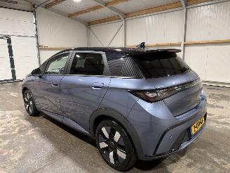 BYD Dolphin 60.4kWh 150kW Design picture 11