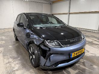 BYD Dolphin 60.4kWh 150kW Design picture 3