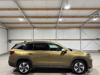 Unfallwagen Skoda Kodiaq 1.5TSI PHEV 110kW Business Edition 2025/4