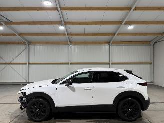 Mazda CX-30 2.5 e-SkyActive-G 103kW Automaat Hybrid Homura picture 8
