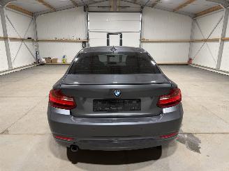 BMW 2-serie 220D Coupe 135kW Automaat Clima picture 7