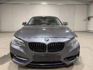 BMW 2-serie 220D Coupe 135kW Automaat Clima picture 16