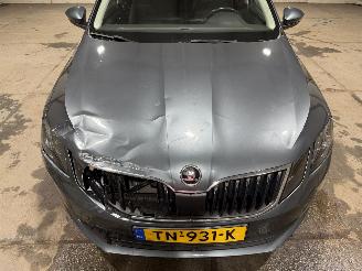 Skoda Octavia 1.5TSI 110kW Greentech Ambition picture 20