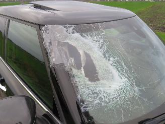 Mini Clubman 20 231pk!!  Automaat  ALL4  CHILI JOHN COOPER WORKS 78.000km 4x4 picture 21