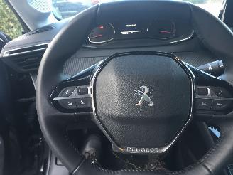 Peugeot 208 208 1.2 PureTech Active Pack picture 19