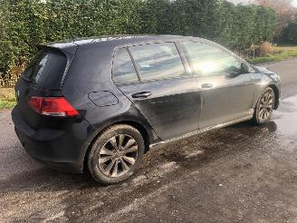 Volkswagen Golf Golf 1.6 TDI Highline BlueMotion picture 6