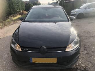 Volkswagen Golf Golf 1.6 TDI Highline BlueMotion picture 2