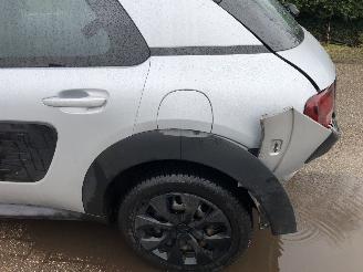 Citroën C4 cactus cactus 1.2 puretech picture 7