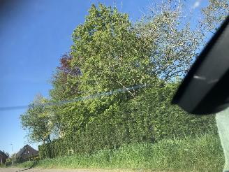 BMW  1-serie 116i Business Line picture 11