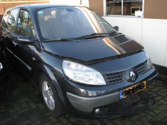 škoda osobní automobily Renault Grand-scenic 2.0 16v 99kw automaat 2005/1