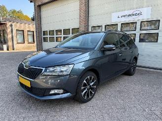 Voiture accidenté Skoda Fabia 1.0 TSI Business Edition Navi Clima Cruise NAP 2020/3