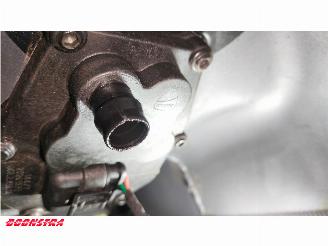 Ducati  Monster 1200 S Termignoni ABS 19.502 km picture 12