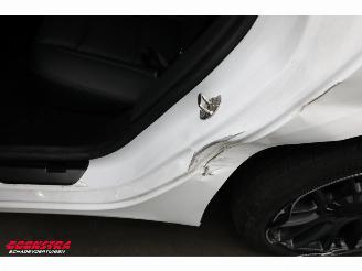 Tesla Model 3 RWD 60 kWh Pano Full Self Driving ACC Ventilatie AHK picture 7