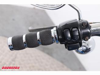 Harley-Davidson  FLSTF Fat Boy Rinehart picture 12