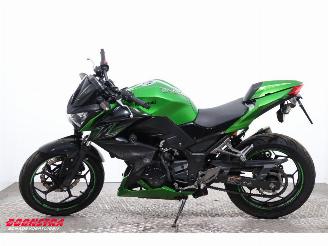 Kawasaki  Z 300 ABS picture 5
