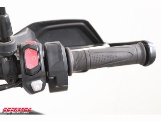 Triumph Tiger 900 Rally Pro ABS SHZ Heizgriffe Cruise picture 21