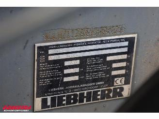 Liebherr  A916 LITRONIC SMP Tiltrotator picture 38