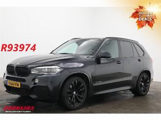 skadebil bedrijf BMW  XDrive30d VAN M-Sport LED Memory H/K AHK SHZ 2017/3