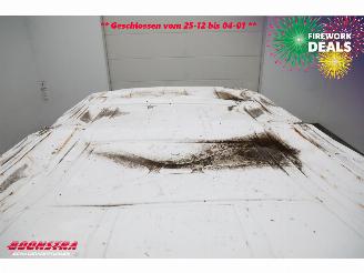 Ford Transit 2.0 TDCI 170 PK Aut. L2-H3 Trend Airco Cruise picture 20