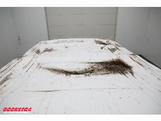 Ford Transit 2.0 TDCI 170 PK Aut. L2-H3 Trend Airco Cruise picture 20