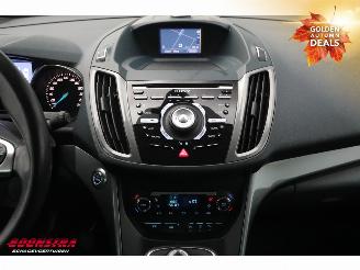 Ford Grand C-Max 1.0 Titanium 6-Pers. Navi Clima Cruise Camera PDC picture 10