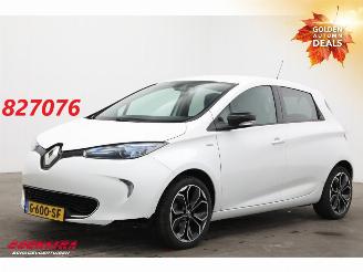 Vaurioauto  passenger cars Renault Zoé R110 Limited 41 kWh Incl. Accu! Navi Clima Cruise Camera PDC 2019/4