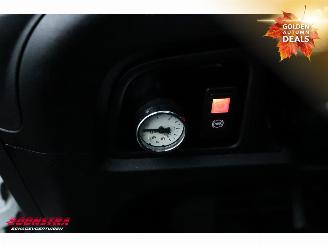Iveco Daily 40C18 Hi-Matic BE-trekker Navi Clima Cruise picture 21