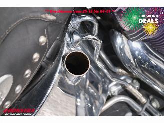 Harley-Davidson  FLSTC Heritage Softail Classic Python BY 2008 picture 12