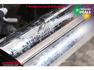 Harley-Davidson  FLSTC Heritage Softail Classic Python BY 2008 picture 19