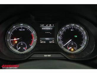 Skoda Octavia Combi 1.0 TSI DSG Ambition Navi Clima Cruise SHZ PDC AHK picture 20