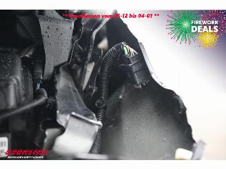 Ford Transit Connect 1.5 TDCI Aut. L2 Trend Navi Clima Cruise PDC Camera AHK picture 13