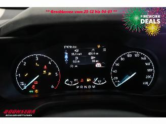 Ford Transit Connect 1.5 TDCI Aut. L2 Trend Navi Clima Cruise PDC Camera AHK picture 24