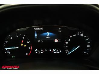 Ford Fiesta 1.0 EcoBoost Active Navi Clima Cruise Camera PDC picture 15