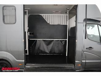 Renault Master 2.3 DCI 165 Nuyts Horsetruck Leder Navi Airco Cruise Camera picture 10