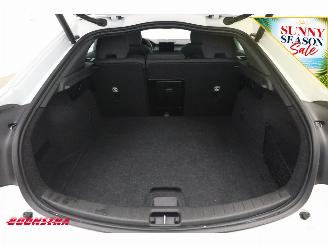 Polestar 2 Long Range Single Pano LED ACC H/K 360° LRHZ picture 34