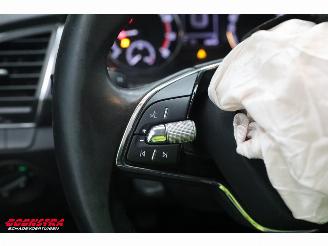 Skoda Fabia Combi 1.0 TSI Business Edition Navi Airco Cruise PDC AHK picture 21