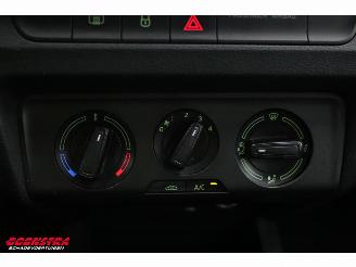 Skoda Fabia Combi 1.0 TSI Business Edition Navi Airco Cruise PDC AHK picture 28