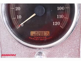 Harley-Davidson  FLSTC Softail Heritage LED picture 10