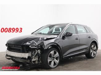 Audi E-tron 55 quattro 95 kWh Pano LED Cruise SHZ PDC picture 1