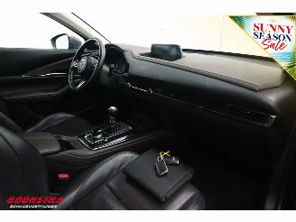 Mazda CX-30 2.0 e-SkyActiv-X M Hybrid Comfort Leder HUD Memory Camera SHZ LRHZ picture 10