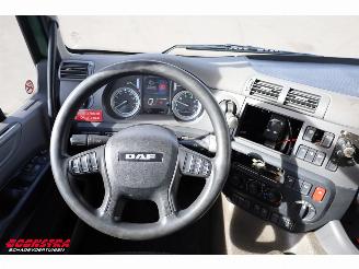 DAF CF 260 FA Aut. Kuhlkoffer Dhollandia Euro 6 picture 16