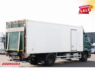 DAF CF 260 FA Aut. Kuhlkoffer Dhollandia Euro 6 picture 3