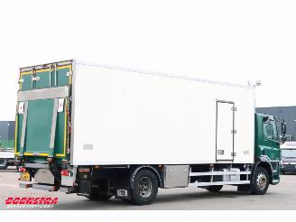 DAF CF 250 FA Aut. Kuhler Carrier Syberia Dhollandia Euro 6 picture 3