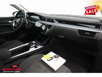 Audi E-tron 55 quattro advanced 95 kWh LED Virtual Cruise PDC picture 14